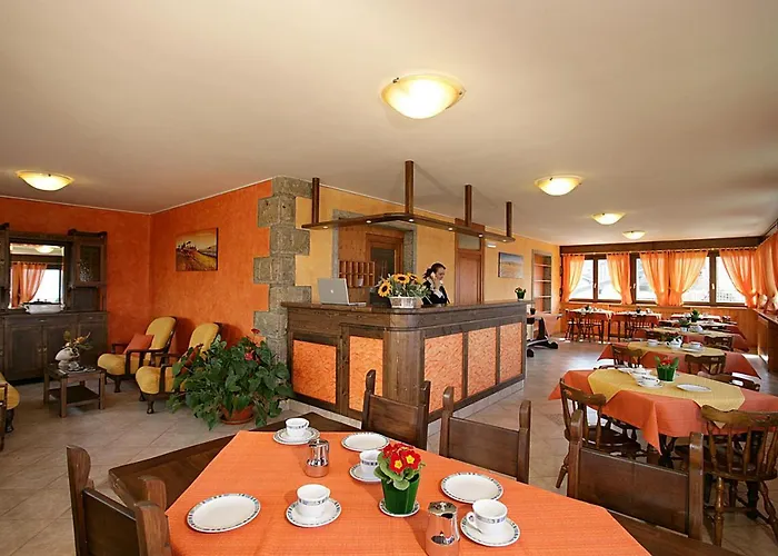 Отель Max Meuble 3*